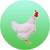 肉雞養殖