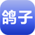 鴿子養殖
